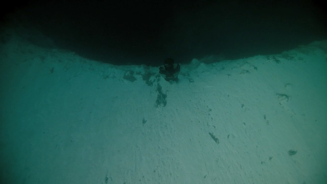 Video Reference: water, underwater, underwater diving, turquoise, freediving, aqua, sea, scuba diving, organism, turquoise