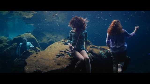 Video Reference: Underwater, Water, Organism, Aquarium, Sky, Photography, Sea, Marine biology, Ocean, Vacation