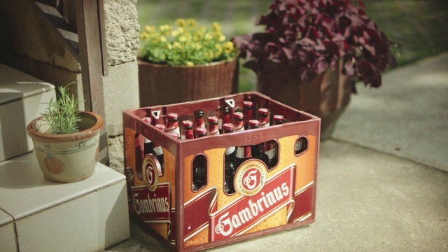 Video Reference: Drink, Plant, Beer