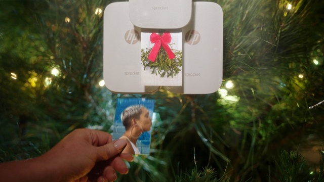 Video Reference: Christmas ornament, Holiday ornament, Tree, Christmas, Fir, Interior design, Plant, Christmas decoration, Vascular plant, Pine family