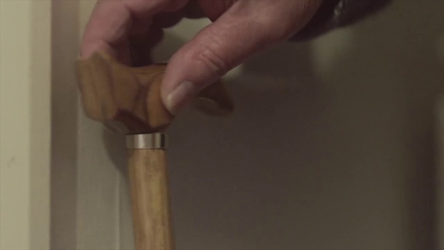 Video Reference: Product, Hand, Hardwood, Wood, Walking stick