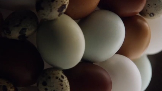 Video Reference: Egg, Egg, Food, Still life photography, Boiled egg, Person