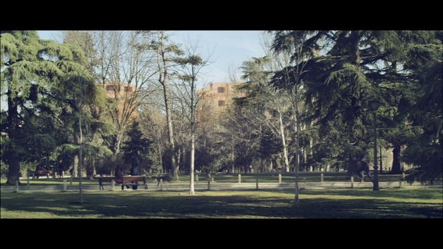 Video Reference: Nature, Tree, Sky, Grass, Sport venue, Morning, Woody plant, Park, Atmosphere, Landscape