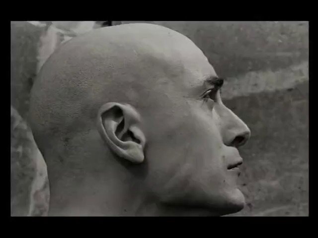 Video Reference: grayscale, close-up, side profile, bald, head, face, portrait, profile, human, monochrome, background texture