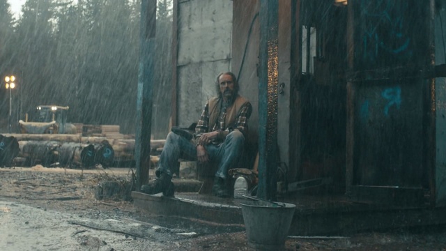 Video Reference: Tree, Art