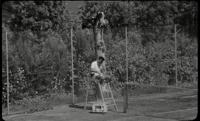 Video Reference: tree, white, black, nature, photograph, black and white, woody plant, monochrome photography, photography, standing
