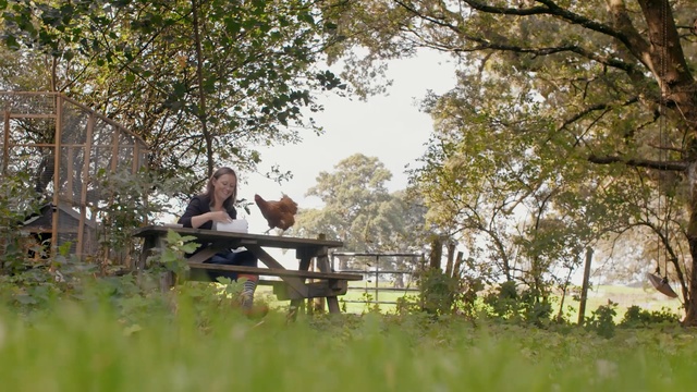 Video Reference: tree, photograph, nature, plant, grass, leisure, path, spring, sitting, picnic