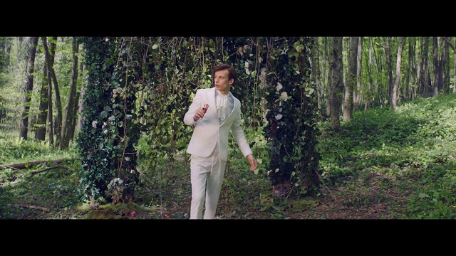 Video Reference: People in nature, Photograph, Nature, Woodland, Forest, Natural environment, Tree, Green, Adaptation, Standing