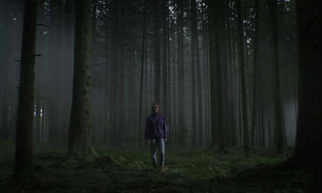 Video Reference: Forest, Woodland, Nature, Natural environment, Tree, Darkness, Atmospheric phenomenon, Old-growth forest, Light, Biome