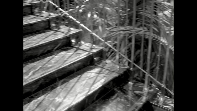 Video Reference: black, black and white, monochrome photography, structure, photography, monochrome, architecture, darkness, metropolis, line