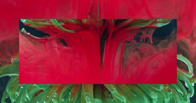 Video Reference: Red, Green, Acrylic paint, Painting, Modern art, Pink, Art, Textile, Plant, Paint