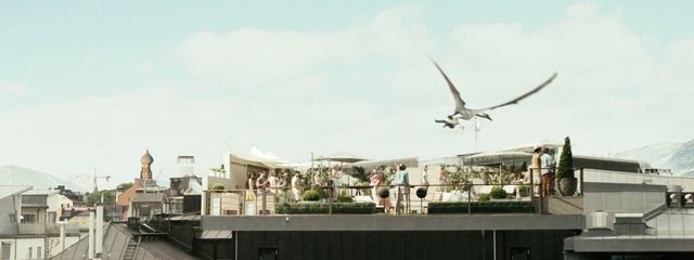 Video Reference: Seabird, Architecture, Gull, Bird, Charadriiformes