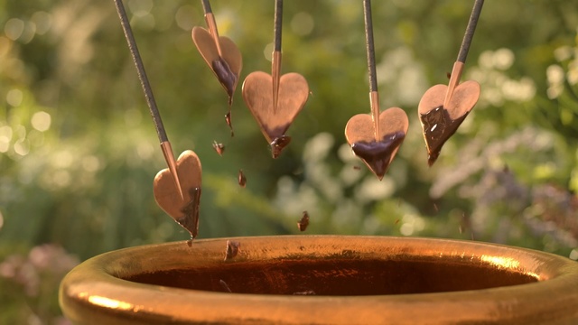 Video Reference: Leaf, Branch, Plant, Photography, Heart, Interior design, Metal, Still life photography