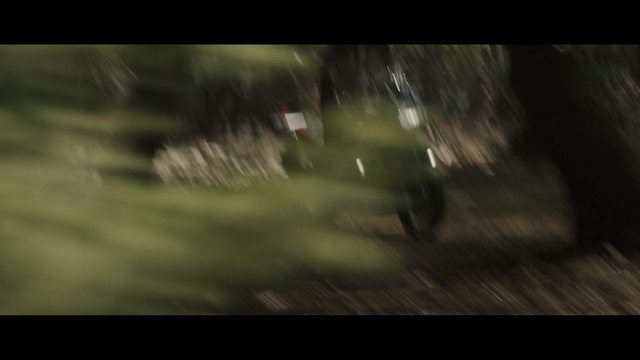 Video Reference: Nature, Green, Darkness, Tree, Screenshot, Pc game, Grass, Woodland, Photography, Forest