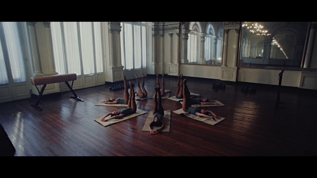 Video Reference: Floor, Wood flooring, Hardwood, Flooring, Laminate flooring, Furniture, Chair, Room, Wood, Table, Indoor, Living, Window, Building, Wooden, Small, Sitting, Area, Large, White, Red, Glass, Dog