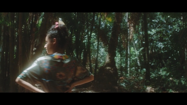 Video Reference: nature, vertebrate, forest, tree, darkness, jungle, screenshot, girl, leaf, sunlight