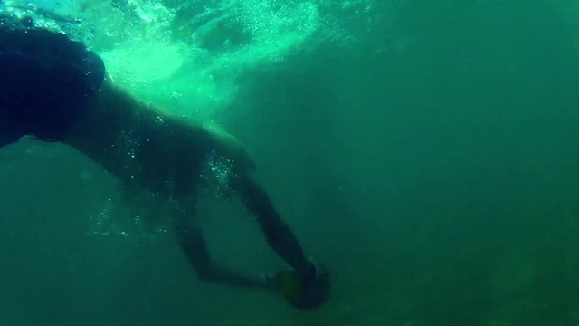 Video Reference: Underwater, Underwater diving, Scuba diving, Water, Snorkeling, Recreation, Divemaster, Freediving, Diving equipment, Turquoise