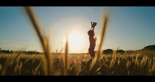 Video Reference: People in nature, Sky, Backlighting, Sunlight, Grass, Photography, Happy, Grass, Field, Adaptation