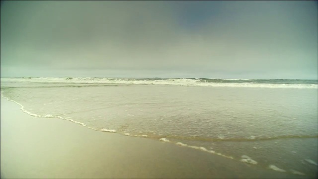 Video Reference: Sky, Sea, Ocean, Beach, Horizon, Shore, Atmospheric phenomenon, Wave, Cloud, Atmosphere