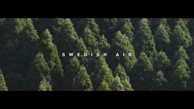 Video Reference: green, vegetation, tree, ecosystem, forest, biome, sky, tropical and subtropical coniferous forests, old growth forest, temperate coniferous forest