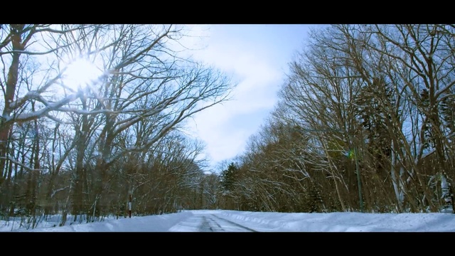 Video Reference: Winter, Snow, Nature, Tree, Sky, Photograph, Branch, Daytime, Freezing, Sunlight, Person