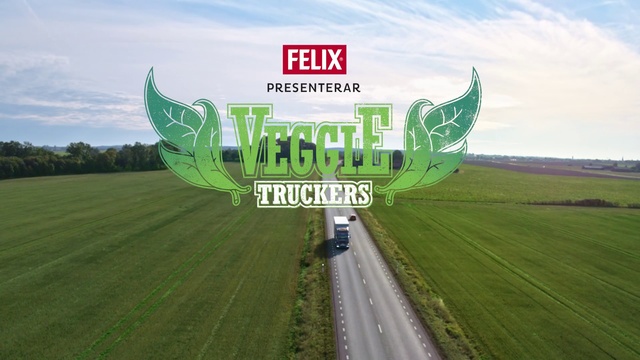 Video Reference: Green, Grassland, Grass, Land lot, Grass family, Plain, Road, Font, Field, Landscape