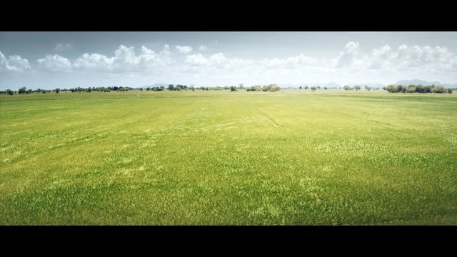 Video Reference: grassland, field, plain, pasture, prairie, ecosystem, grass, sky, meadow, atmosphere