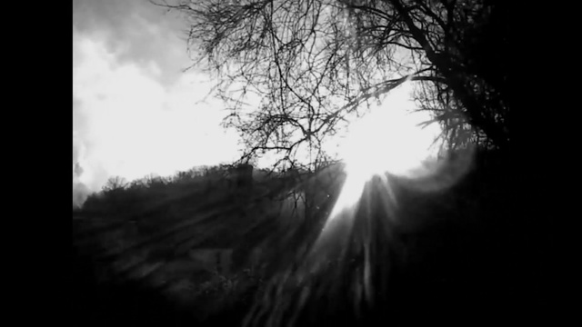 Video Reference: Nature, Black, Sky, Monochrome photography, Photograph, Black-and-white, White, Tree, Branch, Darkness