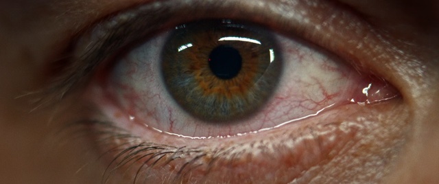 Video Reference: Iris, Eye, Close-up, Skin, Organ, Eyelash, Eyebrow, Macro photography, Brown, Ophthalmology