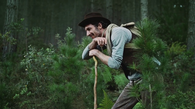 Video Reference: Jungle, Botany, Forest, Tree, Photography, Plant, Adaptation, Rainforest, Old-growth forest