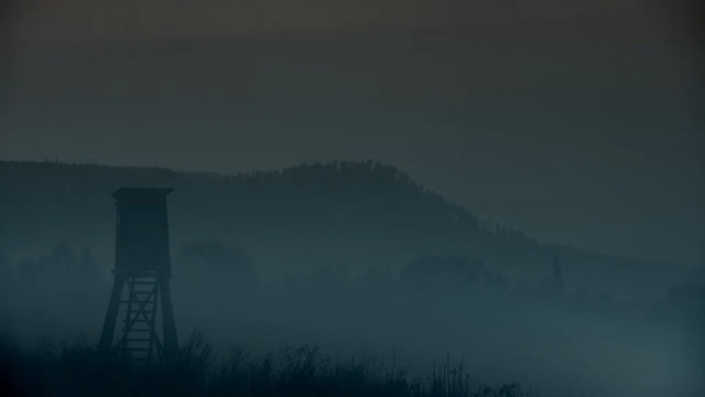Video Reference: Sky, Atmospheric phenomenon, Blue, Mist, Atmosphere, Cloud, Fog, Morning, Darkness, Tree