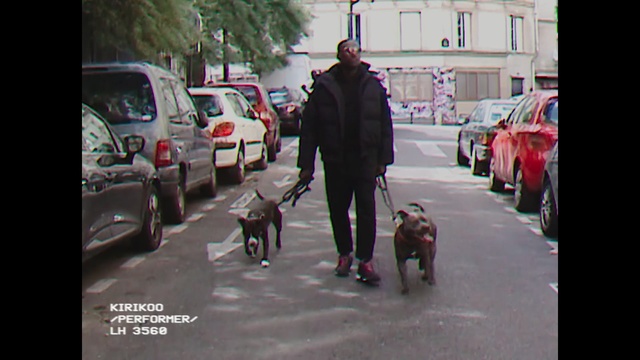 Video Reference: mammal, road, car, vertebrate, street, infrastructure, dog, dog like mammal, snapshot, photography, Person