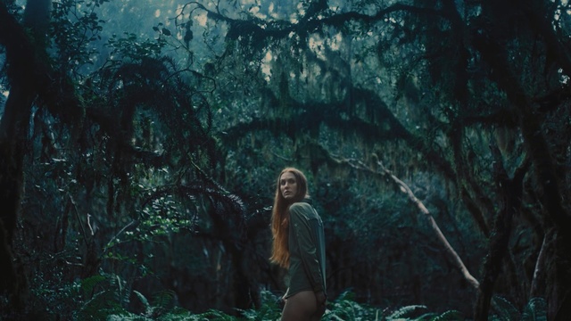 Video Reference: nature, forest, green, tree, ecosystem, darkness, old growth forest, jungle, woodland, screenshot, Person