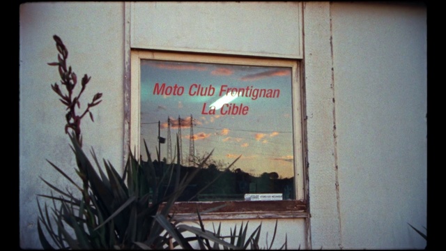 Video Reference: Grass family, Plant, Display advertising, Art