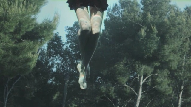 Video Reference: Nature, Tree, Organism, Water, Footwear, Jungle, Sky, Forest, Photography, Shoe