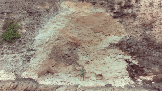 Video Reference: Soil, Wall, Geology, Sky, Rock, Tree, Geological phenomenon