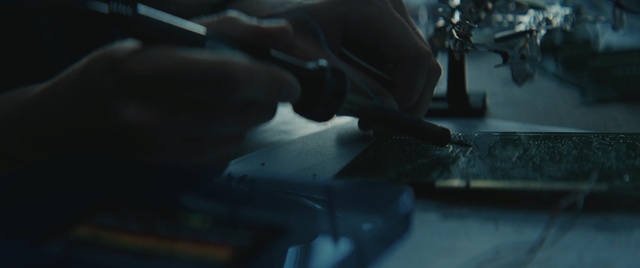 Video Reference: hammerhead, shark