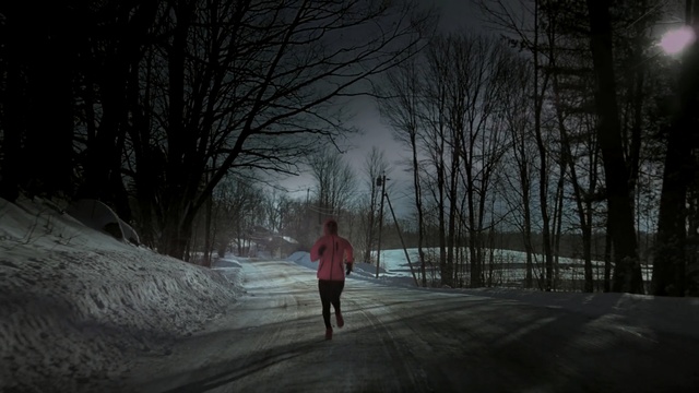 Video Reference: nature, tree, woody plant, darkness, atmosphere, sky, winter, snow, freezing, light, Person