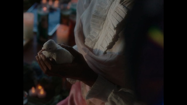 Video Reference: Photograph, Human, Hand, Human body, Photography, Ceremony, Tradition, Finger, Flesh, Smile