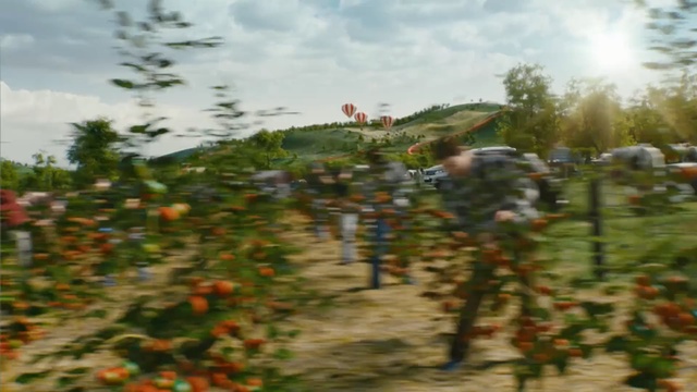 Video Reference: tree, agriculture, plant, flower, sky, landscape, grass, field, farm, outdoor structure