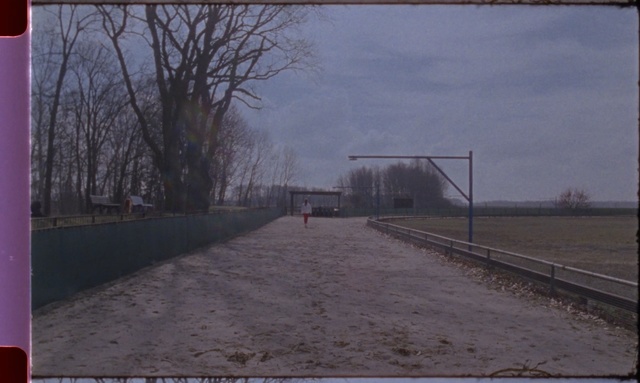Video Reference: road, sky, infrastructure, morning, area, road surface, bridge, land lot, tree, fixed link