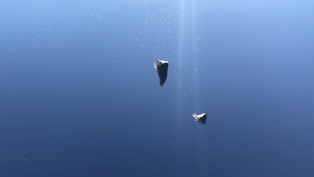 Video Reference: Blue, Azure, Water, Sky, Reflection, Sea, Underwater