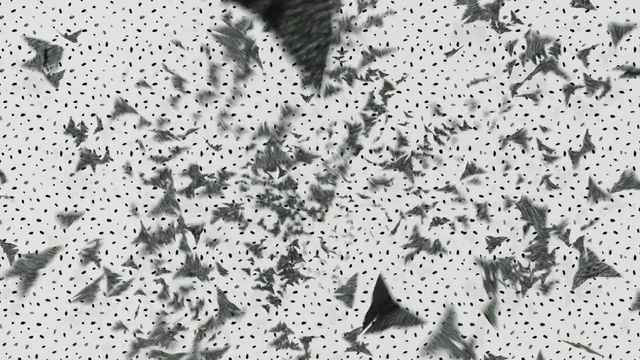 Video Reference: black and white, monochrome photography, flora, monochrome, pattern, tree, organism, lace, design, textile, Person