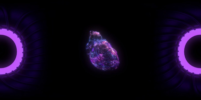 Video Reference: Violet, Purple, Water, Light, Darkness, Atmosphere, Organism, Sky, Space, Electric blue