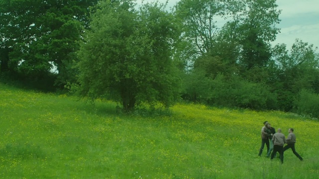 Video Reference: Pasture, Grassland, Meadow, Natural environment, Grass, Land lot, Lawn, Tree, Rural area, Canidae