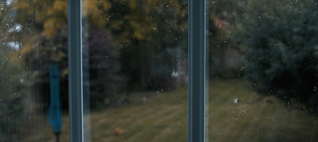 Video Reference: tree, atmosphere, sky, darkness, grass, smoke, sunlight, water, night, landscape