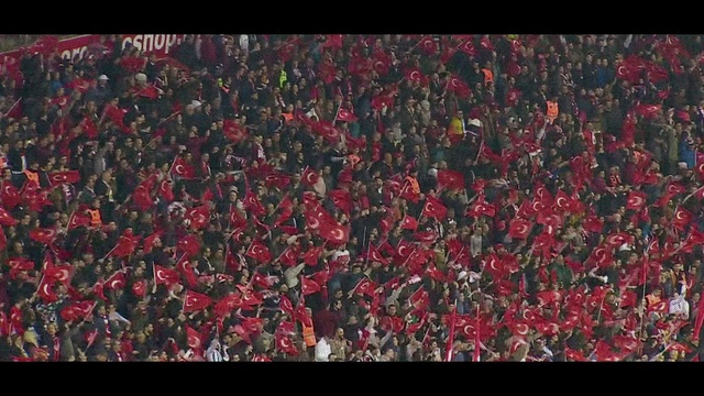 Video Reference: Red, Textile, Plant, Leaf, Art, Organism, Pattern, Tree, Font, Crowd