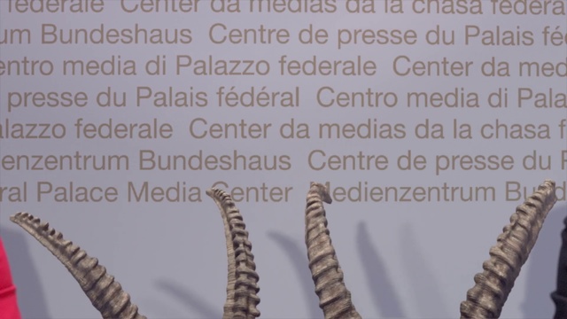 Video Reference: Text, Font, Organism, Adaptation, Plant, Vascular plant, Metal