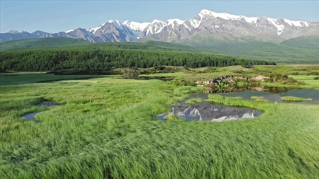 Video Reference: Grassland, Natural landscape, Nature, Highland, Mountainous landforms, Natural environment, Wilderness, Plain, Mountain, Pasture