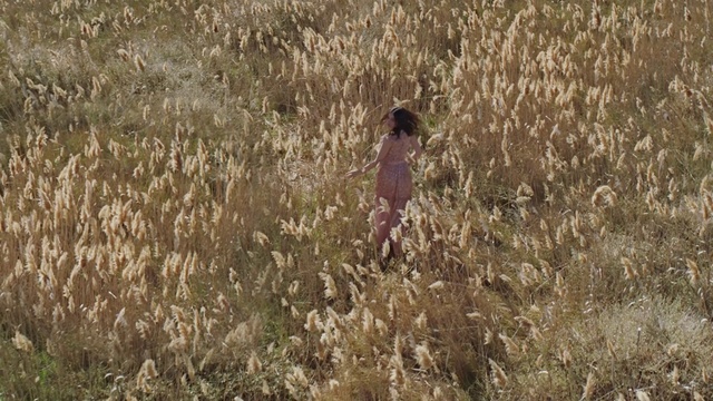 Video Reference: Grass, Grass family, Field, Plant, Phragmites, Wildlife, Prairie, Grassland, Adaptation, Crop